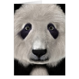 Cartão Panda Bear