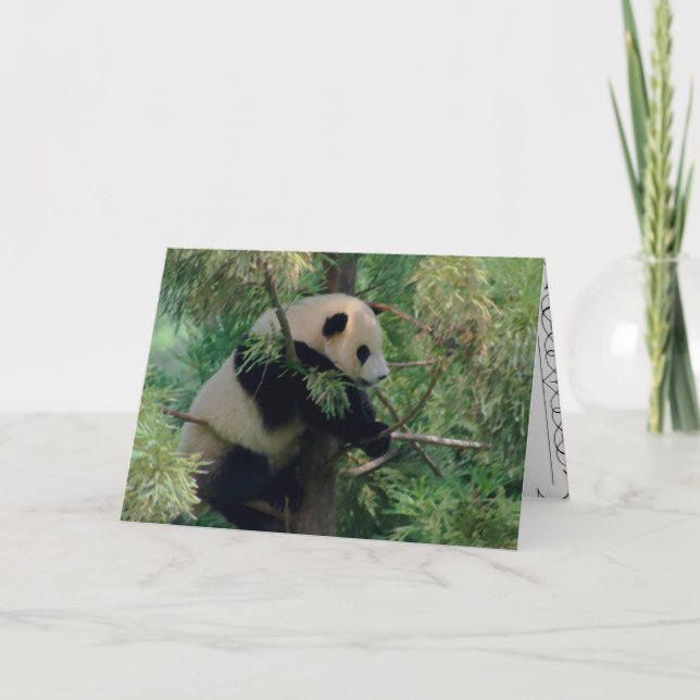 Cartão Panda Bear Hugs (Frente)