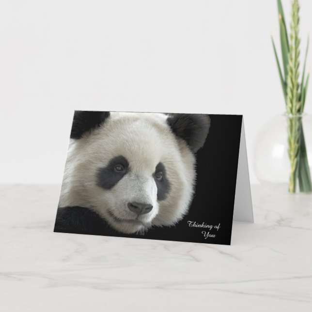 Cartão Panda de Bem Card (Frente)