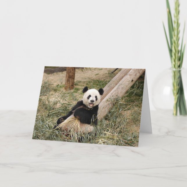 Cartão Panda M001 (Frente)