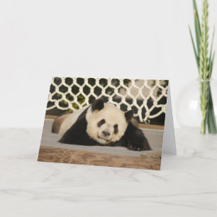 Cartão Panda M010