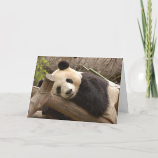 Cartão Panda SD010