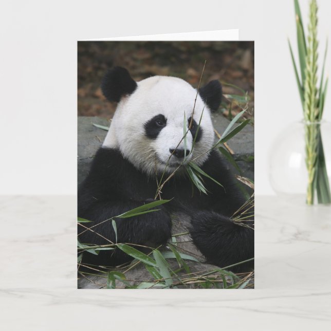 Cartão Pandas gigantes na Proteção contra Panda Gigante e (Frente)