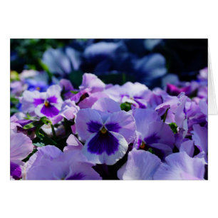 Cartão Pansias Azul e Roxo!