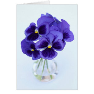 Cartão Pansies