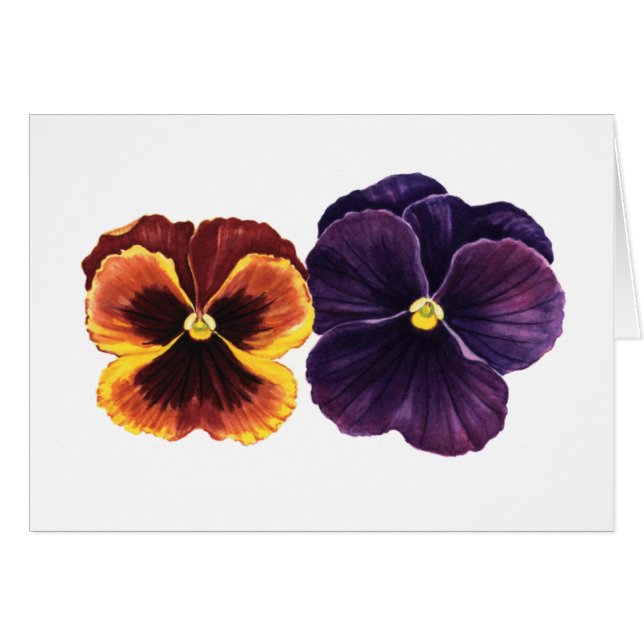 Cartão Pansies do outono (Frente horizontal)