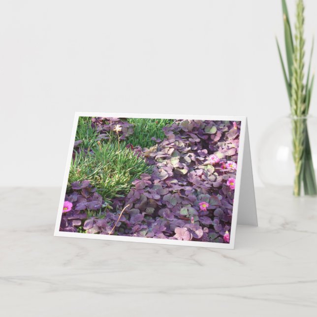 Cartão Pansies roxos (Frente)
