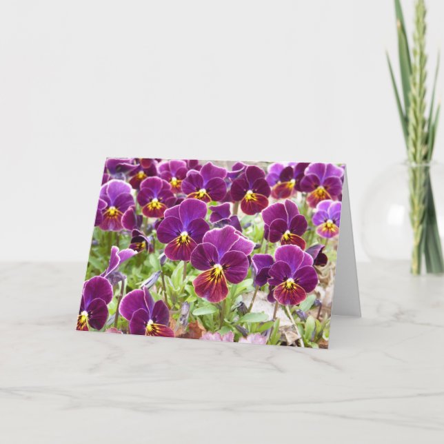 Cartão Pansies roxos (Frente)