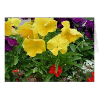 Cartão Pansy Pannier