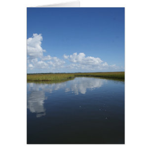 Cartão Pântano maduro