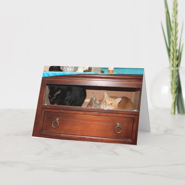 Cartão Panty Raid (Frente)