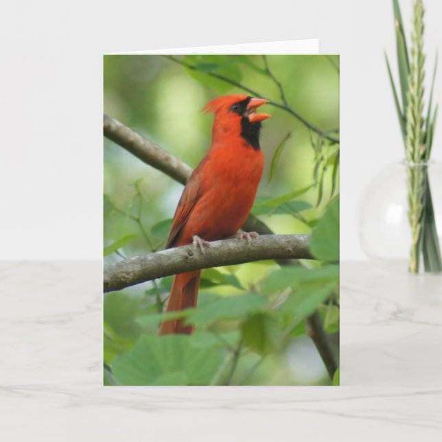 Cartão Papá Cantando! (Frente)