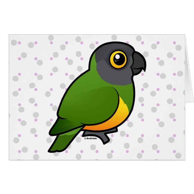 Cartão Papagaio de Senegal (Frente Horizontal)