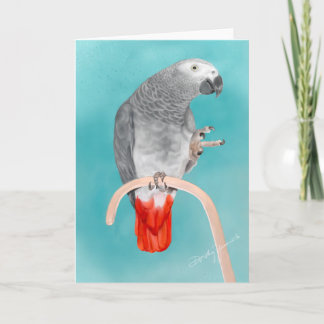 Cartão Papagaio do cinza africano