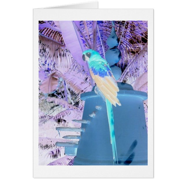 Cartão Papagaio Pop Art (Frente)