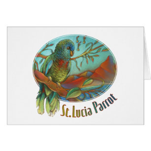 Cartão Papagaio tropical de St Lucia