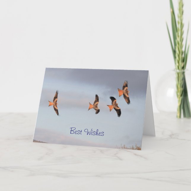 Cartão Papagaio vermelho (Frente)