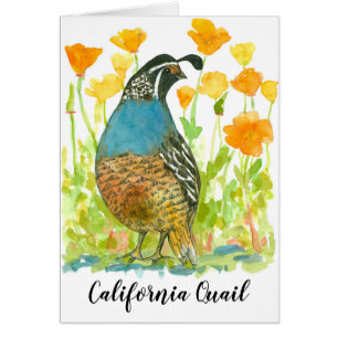 Cartão Papagaios de Laranja Quail da California Bird
