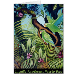 Cartão Papagaios de Luquillo