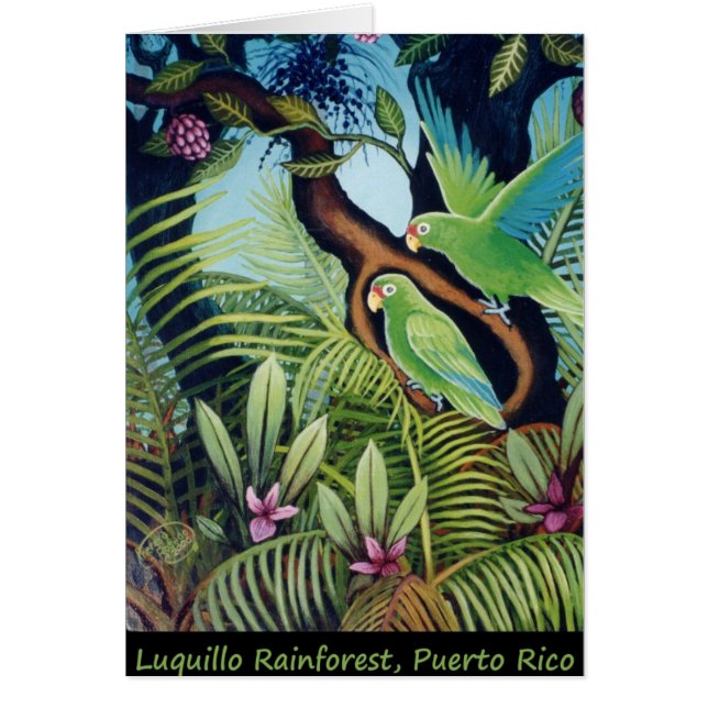 Cartão Papagaios de Luquillo (Frente)