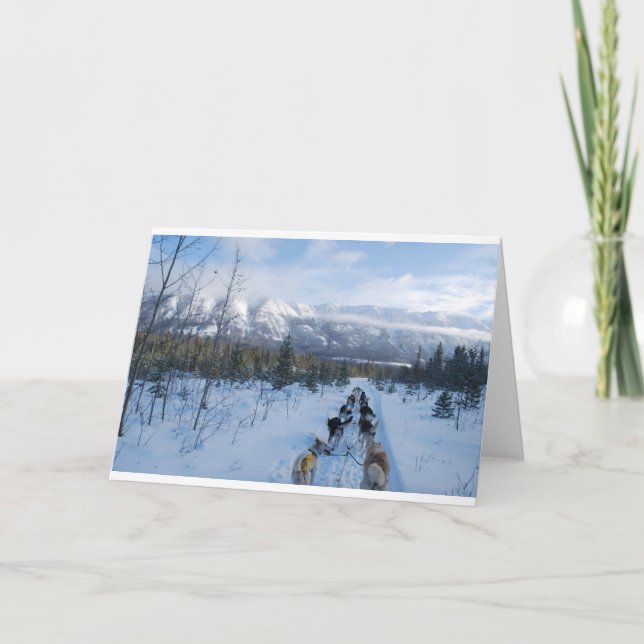 Cartão Papagaios - Paisagem (Frente)