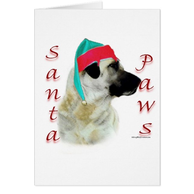 Cartão Papais noeis Anatólios Shepherd (Frente)