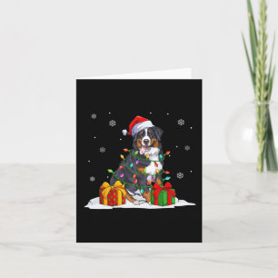 Cartão Papais noeis berneses de árvores de natal montanhê