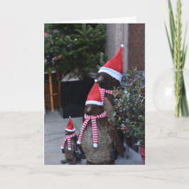 Cartão Papais noeis de Natal Penguins Pavilion Road Londo