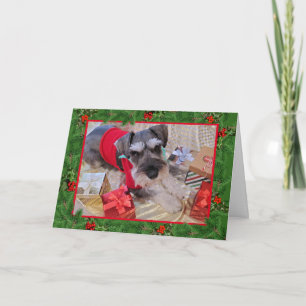 Cartão Papais noeis Schnauzer com Holly Christmas Card