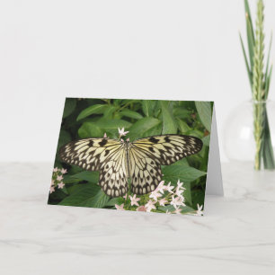 Cartão Paper Kite Butterfly Greeting Card