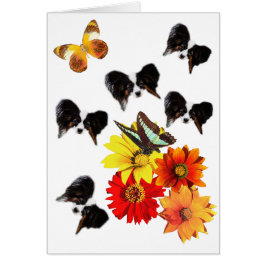 Cartão Papillon Butterfly Gifts