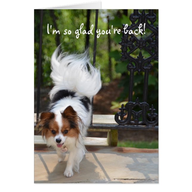 Cartão Papillon eu sou tão contente você está para trás (Frente)