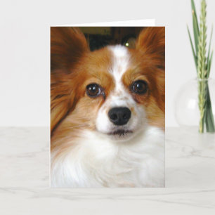 Cartão Papillon Greeting Card