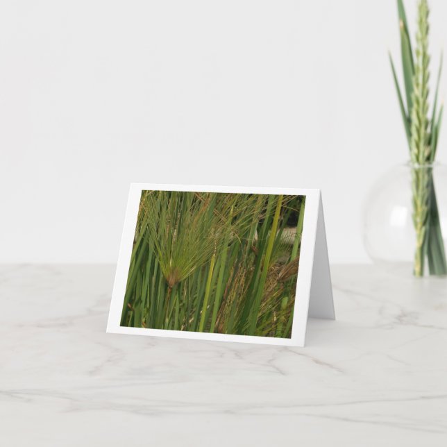 Cartão Papiro (Frente)