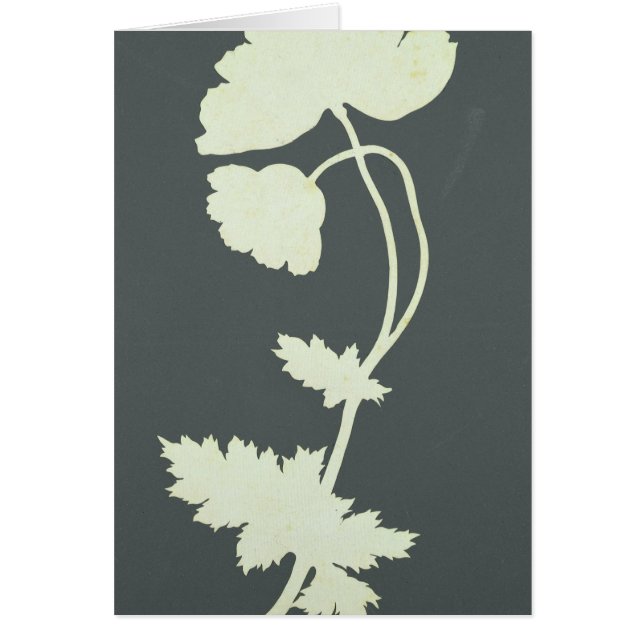 Cartão Papoila (Frente)