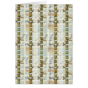 Cartão Papoila Floralplaid Giftcard do girassol