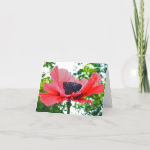 Cartão Papoila Notecard vazio