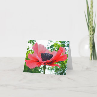 Cartão Papoila Notecard vazio