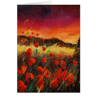 Cartão papoilas no por do sol 76