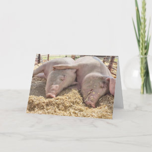 Cartão Par Aniversário De Suínos Na Caneta