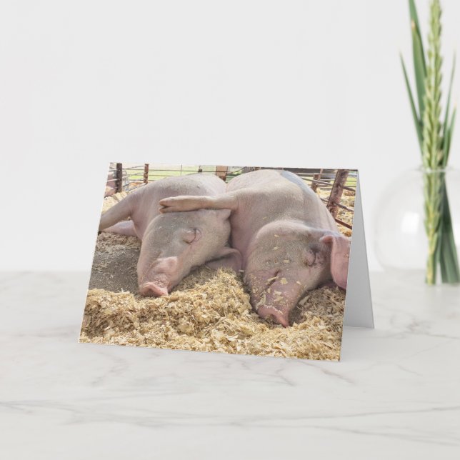 Cartão Par Aniversário De Suínos Na Caneta (Frente)