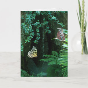 Cartão Par de borboletas em simpatia por jardim tropical