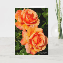 Cartão Par De Brilhos De Rosa Laranja