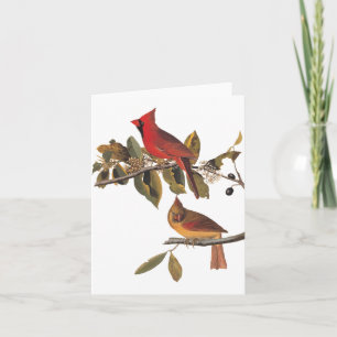 Cartão Par de Cardinals de Audubon em Árvore de Amêndoa S