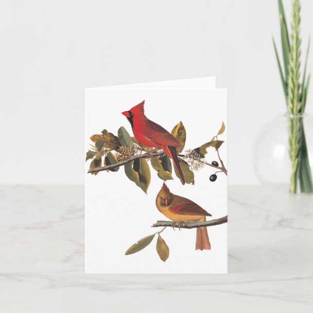 Cartão Par de Cardinals de Audubon em Árvore de Amêndoa S (Frente)