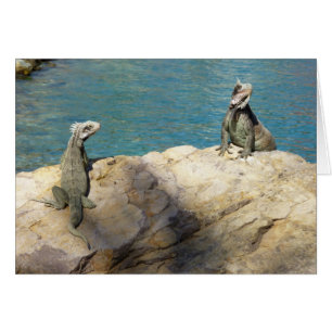 Cartão Par de Fotografia Tropical de Iguanas