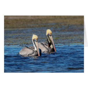 Cartão Par de Pelicanos