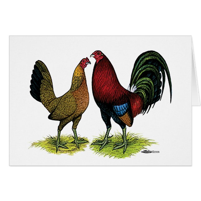 Cartão Par Gamefowl (Frente Horizontal)