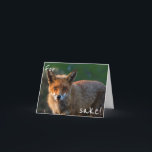 Cartão Para a causa do Fox. É seu aniversário outra vez?<br><div class="desc">Um cartão de aniversário muito engraçado, contudo bonito que caracteriza um fim acima de uma raposa selvagem durante o por do sol em um parque nacional em Austrália. Seu receptor amará este cartão de aniversário e prá um sorriso grande sobre sua cara! E naturalmente você pode personalizar/personaliza o cartão ao...</div>