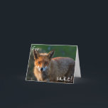 Cartão Para a causa do Fox. É seu aniversário outra vez?<br><div class="desc">Um cartão de aniversário muito engraçado, contudo bonito que caracteriza um fim acima de uma raposa selvagem durante o por do sol em um parque nacional em Austrália. Seu receptor amará este cartão de aniversário e prá um sorriso grande sobre sua cara! E naturalmente você pode personalizar/personaliza o cartão ao...</div>
